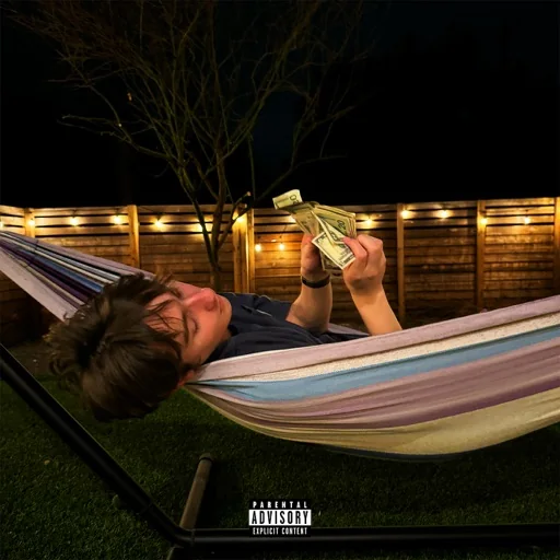 designer cover